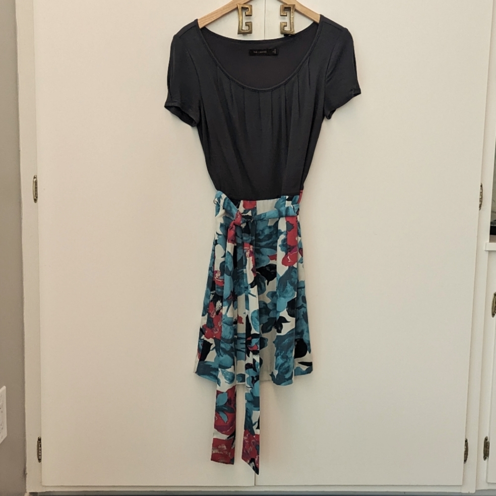 The Limited cap sleeve floral skirt dress with pockets size 2